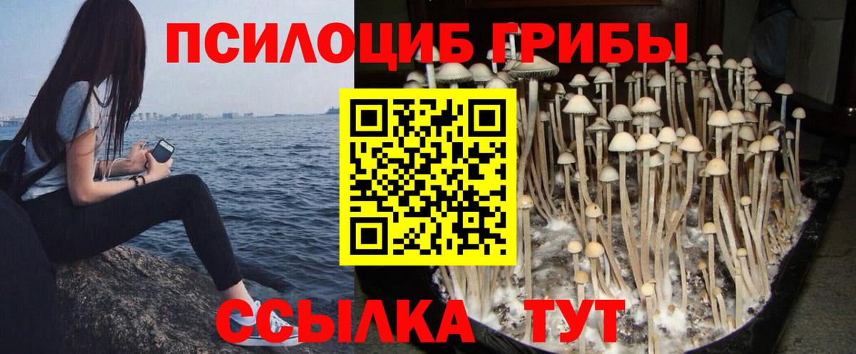 Псилоцибиновые грибы ЛСД  Псилоцибиновые грибы Psilocybine cubensis  Вход с VPN  Томск 